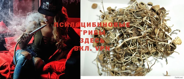 амф Михайловск