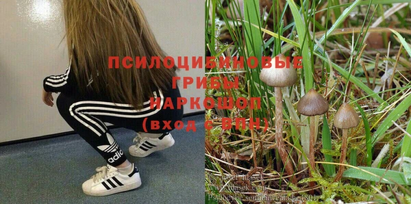 амф Михайловск